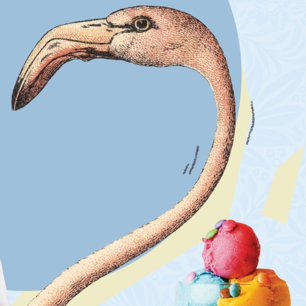 Closeup image of the Pink Flamingo and an ice cream