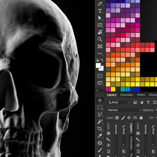 The gypsum skull and interface elements details of the design named Side by Side 10