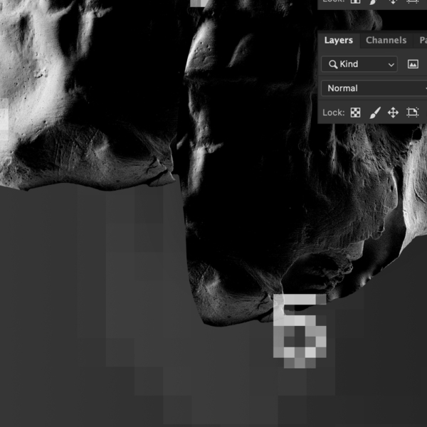 Details of the dark part of the gypsum skull of the design Side by Side #13